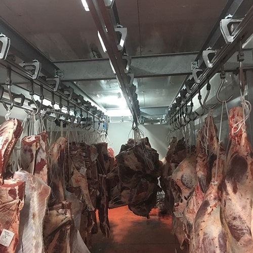 Butcher Shops Processing 5 1