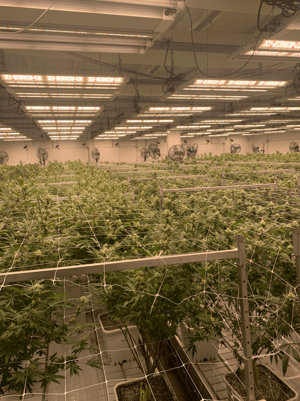 Food Processing Plants