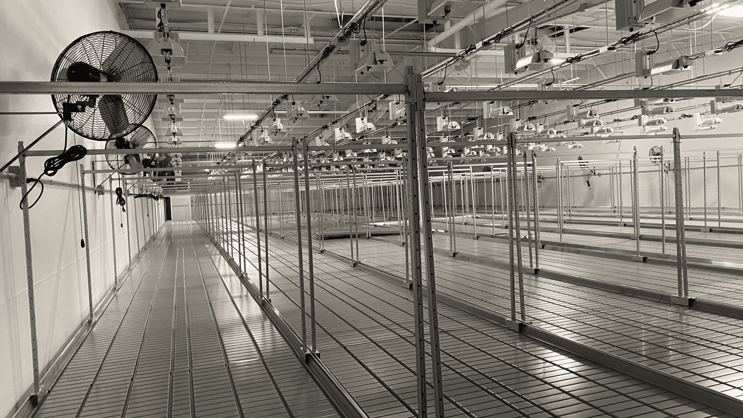 Food Processing Plants